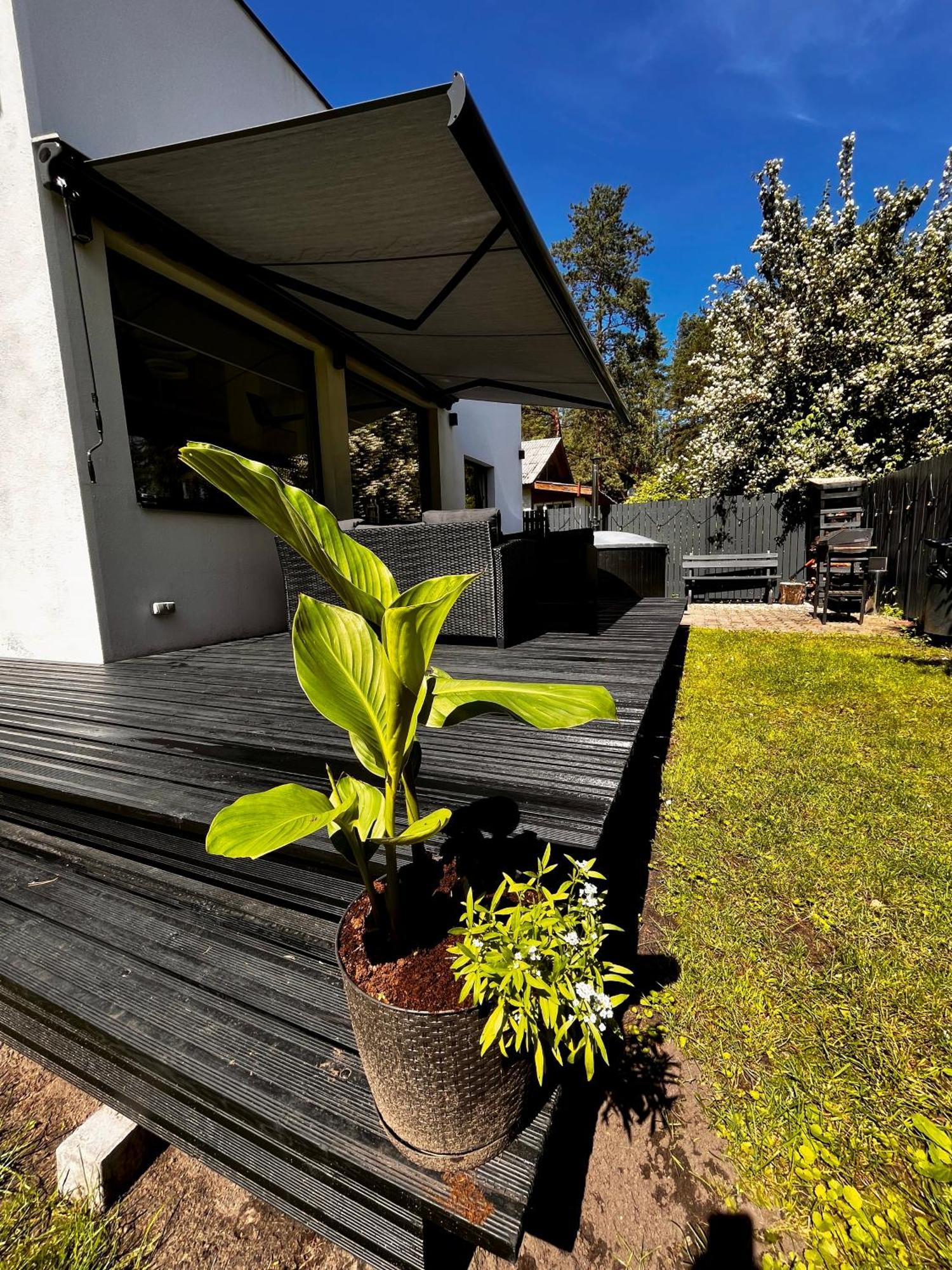 - Close To The Sea And * Gauja (Carnikava)